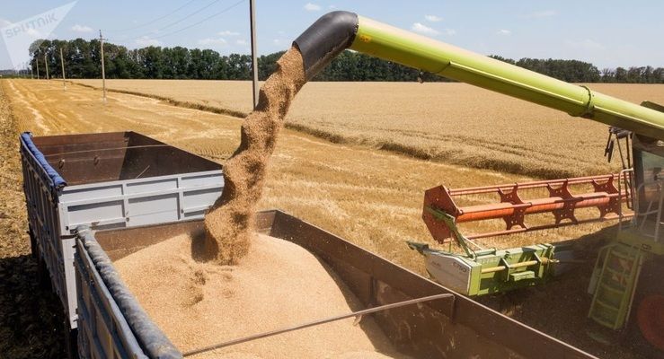 Тунис объявил тендеры на импорт пшеницы