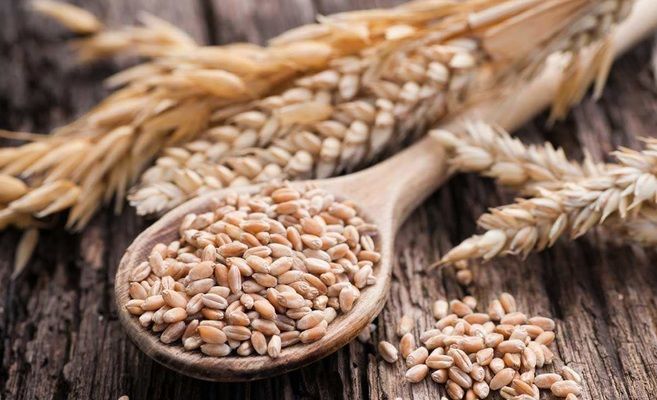 Саудівська Аравія закупить велику партію пшениці