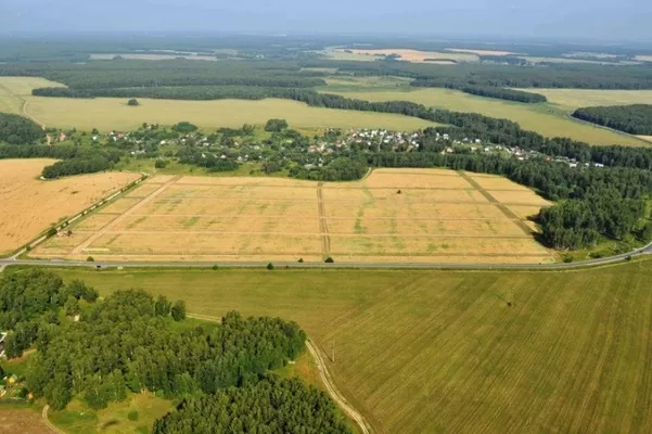Середня ціна одного гектару землі в Україні досягла майже 40 тисяч гривень