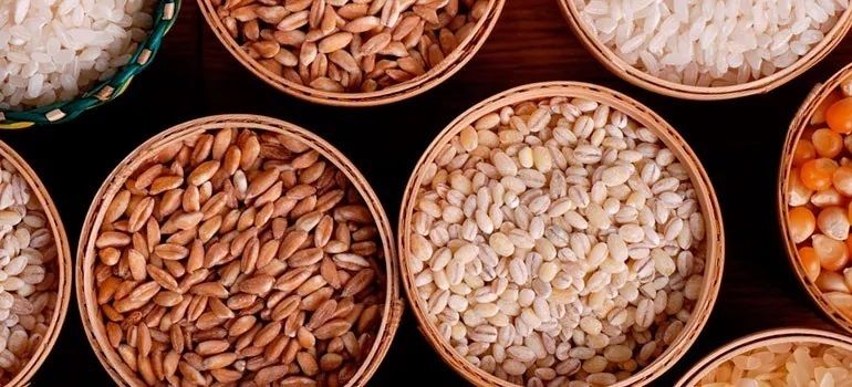 Аналитика цен на зерновые и масличные по состоянию на 14 декабря