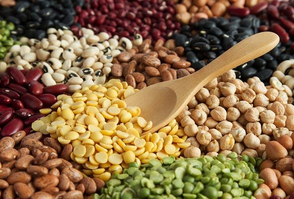 Аналитика цен на зерновые и масличные по состоянию на 15 декабря