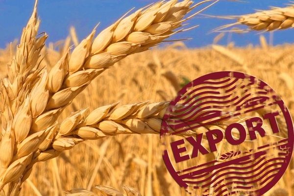 За 2021 год Украина экспортировала агропродовольственной продукции на сумму $24,4 млрд