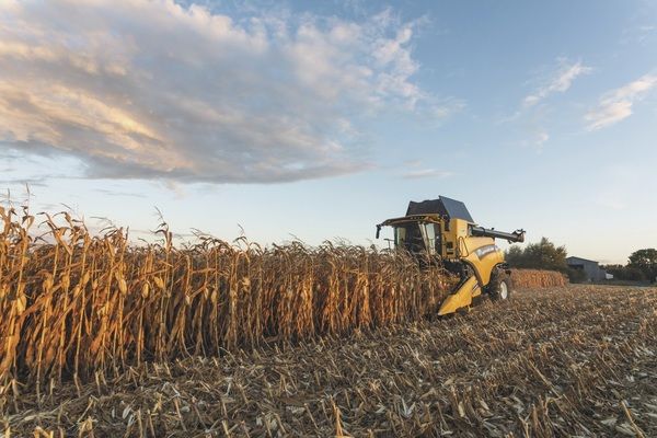В Украине на начало декабря было собрано 85 млн тонн зерна
