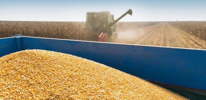 С начала 2021/2022 МГ Украина экспортировала 29,4 млн тонн зерна