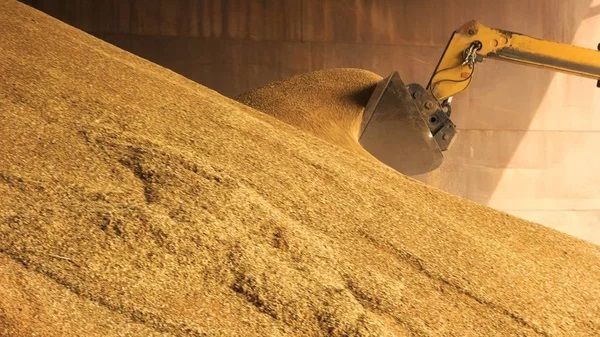 «Укрзалізниця» збільшила навантаження зерна на 12%