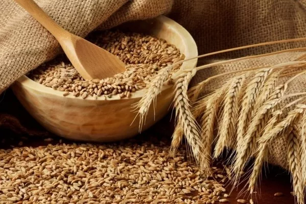 Китай выставит на аукцион пшеницу из госрезервов