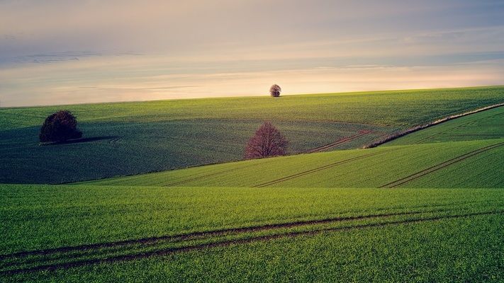 Як зміниться вартість сільгоспземлі, - прогноз