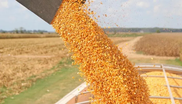 Канада скоротила експорт зернових