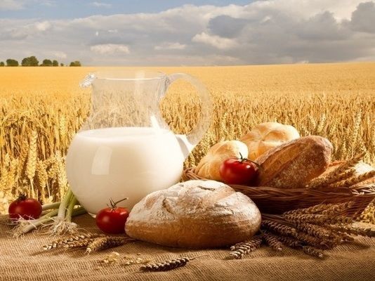 У Казахстані ціни на сільгосппродукцію зросли на 17%