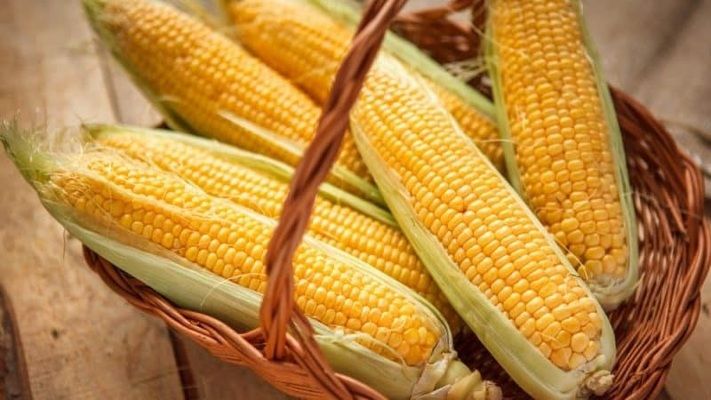 Бразилия почти досеяла кукурузу