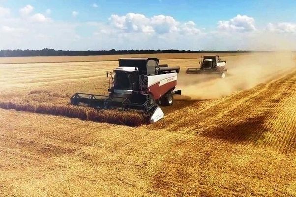 Сельхозпроизводство в Беларуси сокращается