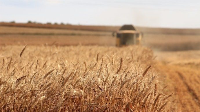 Азербайджан виробив 3,363 млн тонн зернових