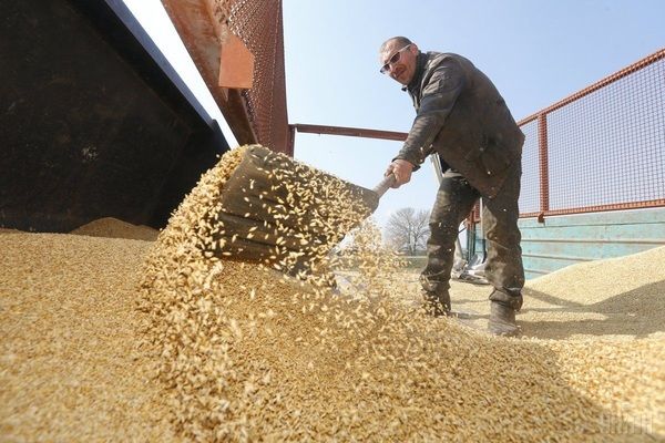 «Укрзалізниця» за январь погрузила рекордный за 10 лет объем зерна