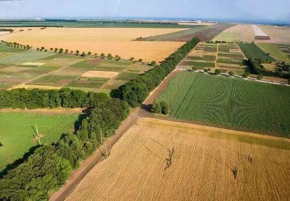 Майже чверть мільйона гектарів сільськогосподарських земель в Україні вже продано