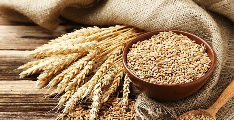 Алжир проводит тендер на закупку пшеницы