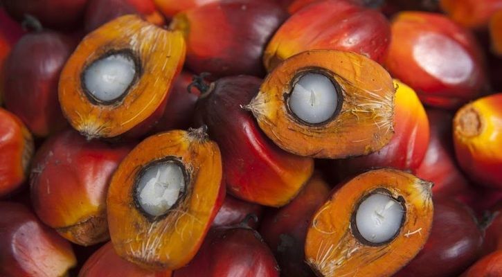 Ціни на малайзійську пальмову олії зросли