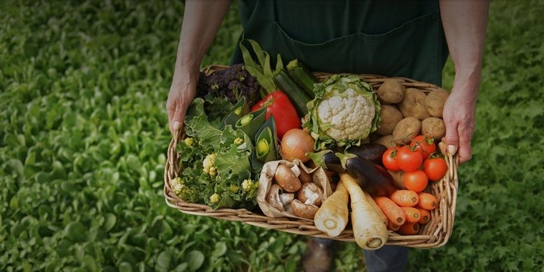 В Украине насчитывается более 470 производителей органической продукции