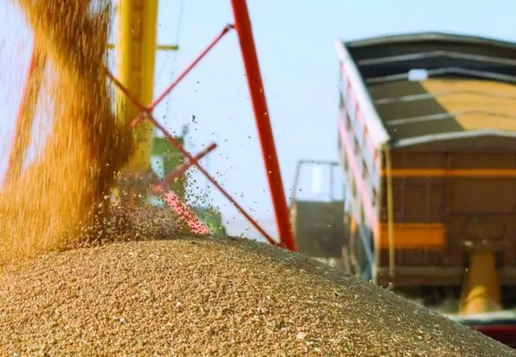 Канада допоможе Україні в експорті зернових