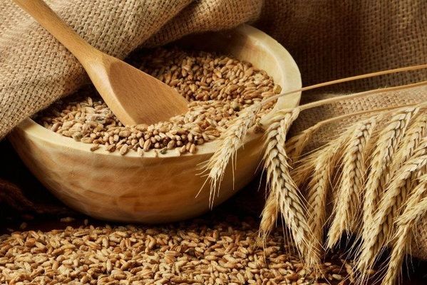 Индия рассматривает ограничение экспорта пшеницы