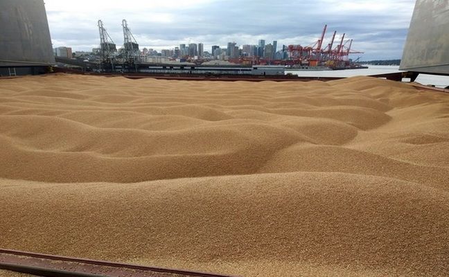 Так называемая "крымская власть" призналась, что продает украденное зерно из Севастополя