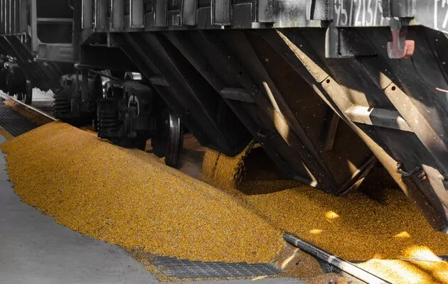 Экспорт зерна из Украины в 2021-2022 годах достиг 47,2 млн тонн