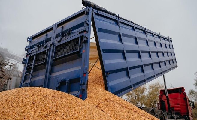 В течение 2021/22 МГ Украина экспортировала зерновых и масличных культур стоимостью на $22,2 млрд