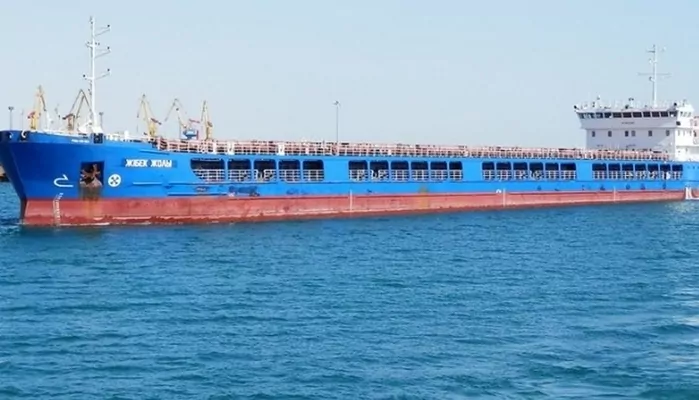 Турция, несмотря на просьбу Украины, отпустила российское судно с краденым зерном