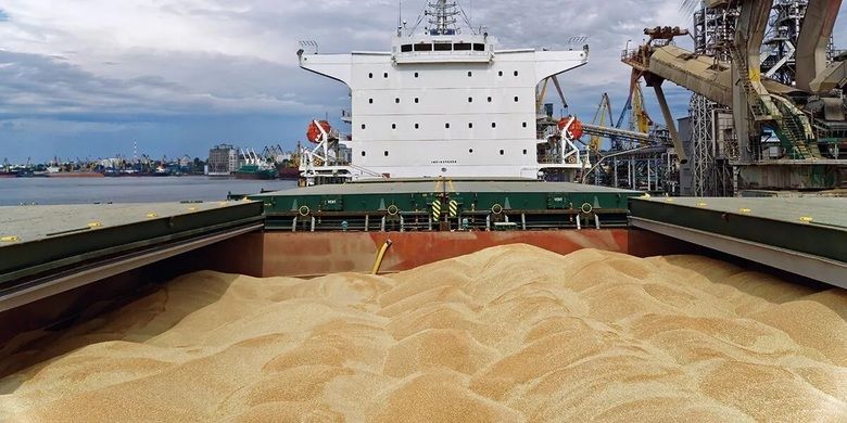 Первое судно с украинским зерном в Сомали может выйти из порта уже сегодня