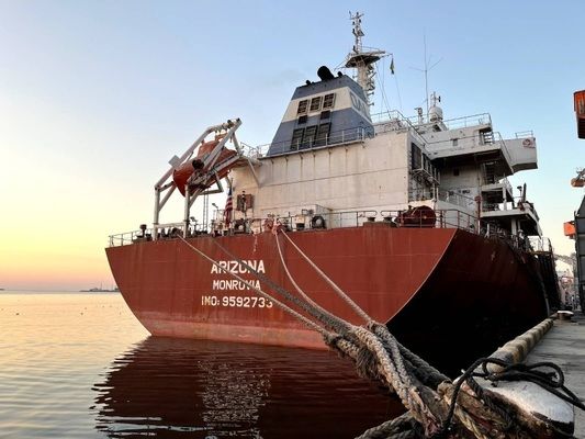 Из портов Украины вышло еще два судна с зерном