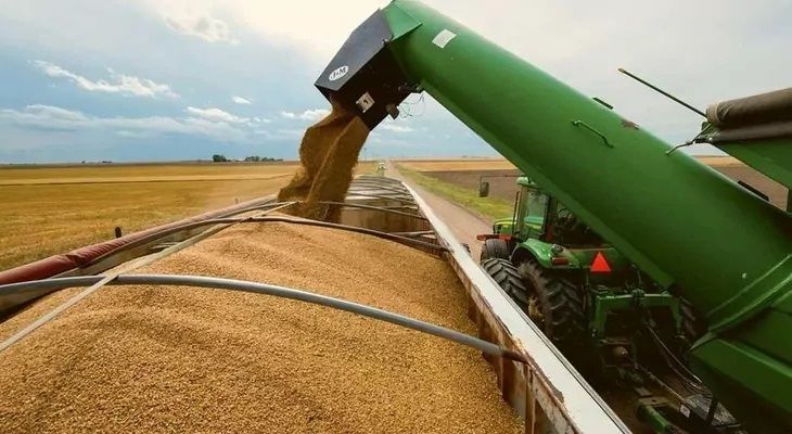 Казахстан збільшує квоти на експорт пшениці