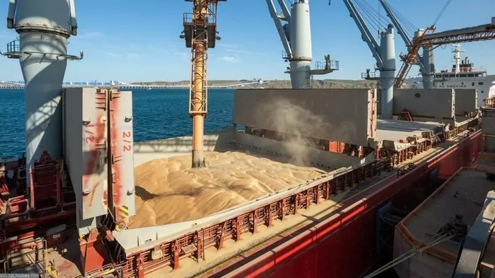 Украина отправила зерновым коридором еще два судна с пшеницей и кукурузой