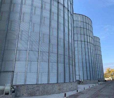"Орильский объединенный элеватор" (Ristone Holdings) продолжает принимать зерно на хранение