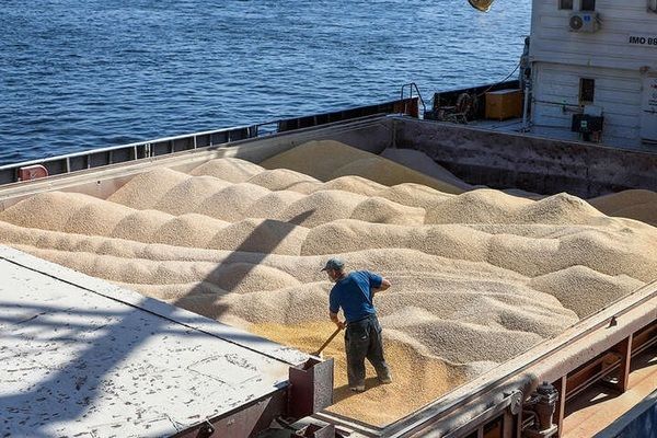 ГК «Прометей» впервые отгрузит пшеницу «зерновым коридором»