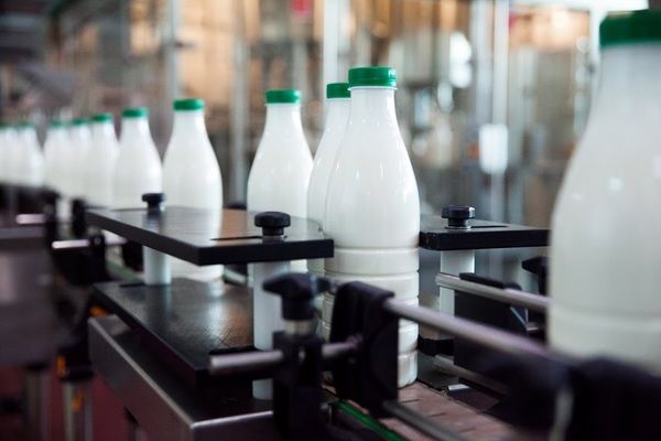 Експорт української молочної продукції відновився до довоєнного показника