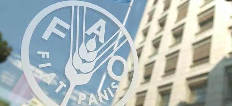 В Україні створять офіс FAO
