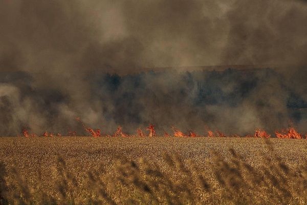 Некоторые общины Херсонщины полностью потеряли урожай