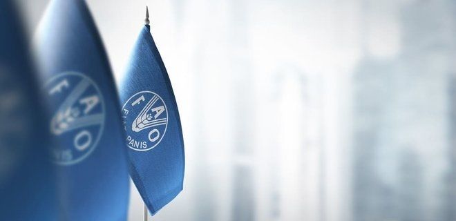 В Украине будет создан Проектный офис FAO