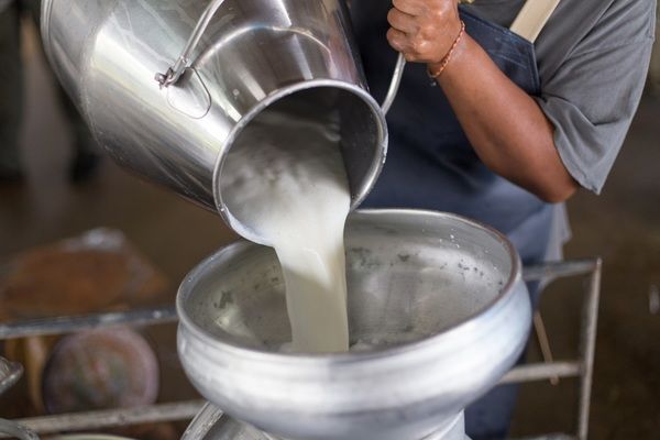 Понад 70 молочних підприємств з деокупованих територій отримають фінансову підтримку від Швейцарії