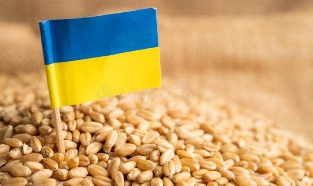 Скільки тонн зернових експортувала Україна «зерновим коридором»?