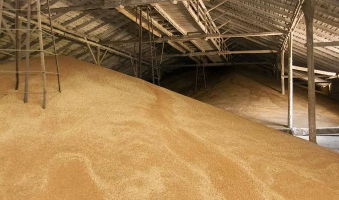 Проблем із зберіганням зерна в Україні немає - заступник Міністра аграрної політики