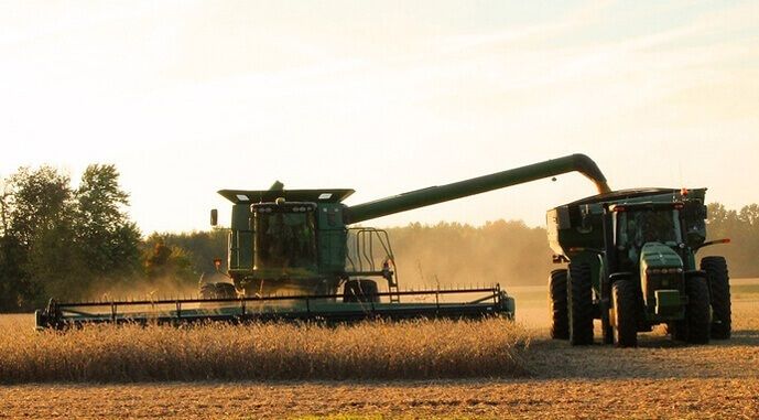 УЗА підвищила цьогорічний прогноз урожаю зернових та олійних до майже 68 млн тонн