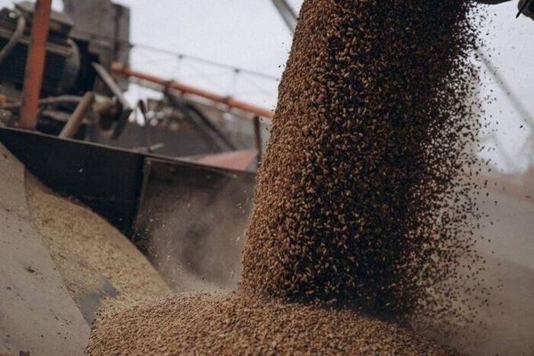 Швеція стала учасницею ініціативи Grain from Ukraine