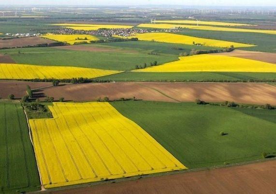 Украинская земля является самой дешевой в Европе