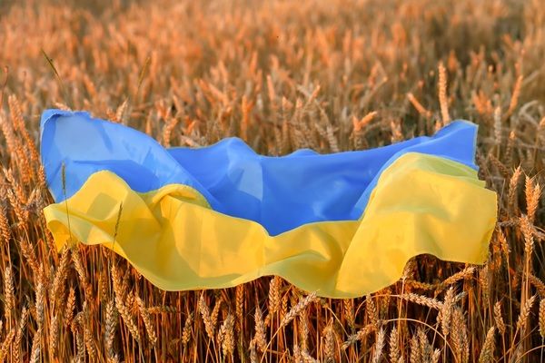 World Food Programme проводит тендер на закупку 75 тысяч тонн агропродукции в рамках Grain from Ukraine