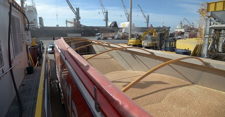 Украина экспортирует еще 3 судна с пшеницей нуждающимся странам 