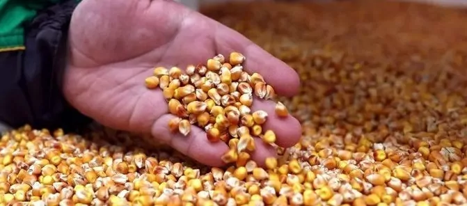 Україна за день експортувала майже 400 тисяч тонн зерна