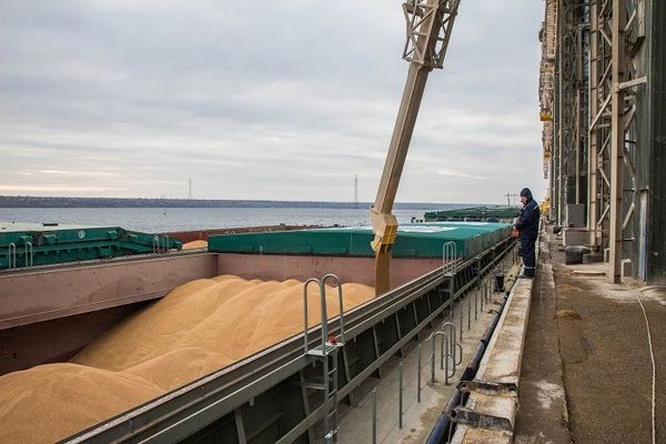 Сколько зерна экспортировала Украина за первый месяц 2023 года?