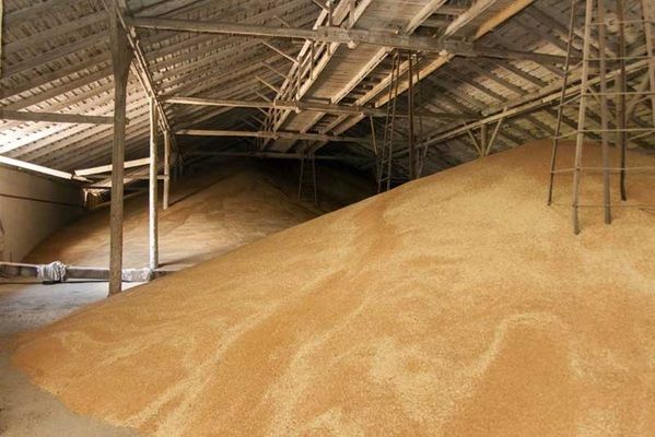 Всего за первые два дня февраля Украина экспортировала полмиллиона тонн зерна