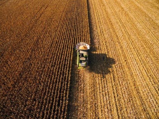 Украинский экспорт зерна может быть ограничен из-за низкого урожая