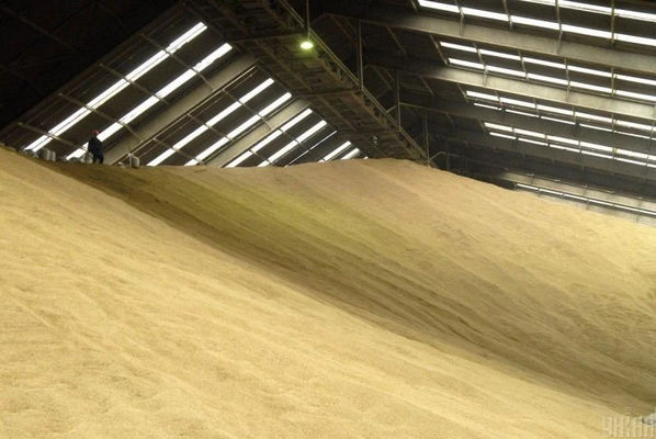 Россияне под видом покупки по сниженным ценам конфискуют зерновые культуры